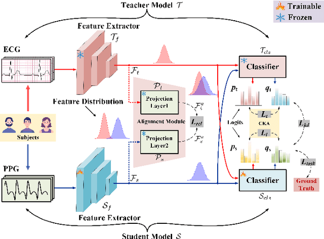 Figure 3 for ECG-guided individual identification via PPG