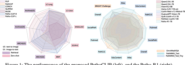 Figure 1 for Patho-R1: A Multimodal Reinforcement Learning-Based Pathology Expert Reasoner