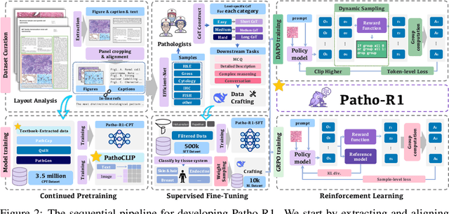 Figure 3 for Patho-R1: A Multimodal Reinforcement Learning-Based Pathology Expert Reasoner