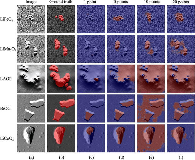 Figure 1 for Adaptive Prompt Learning with SAM for Few-shot Scanning Probe Microscope Image Segmentation