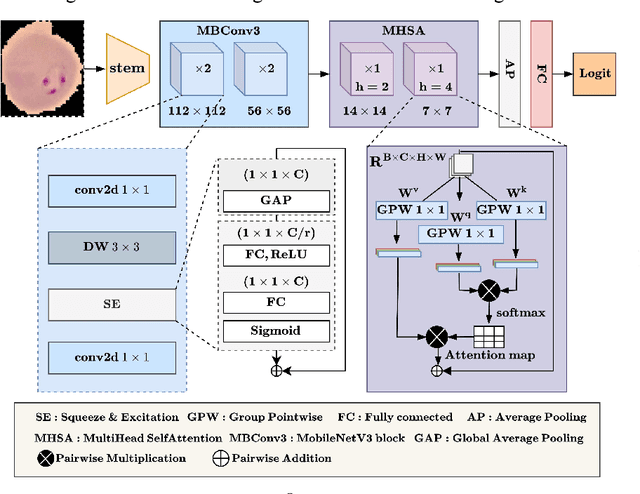 Figure 4 for M2ANET: Mobile Malaria Attention Network for efficient classification of plasmodium parasites in blood cells