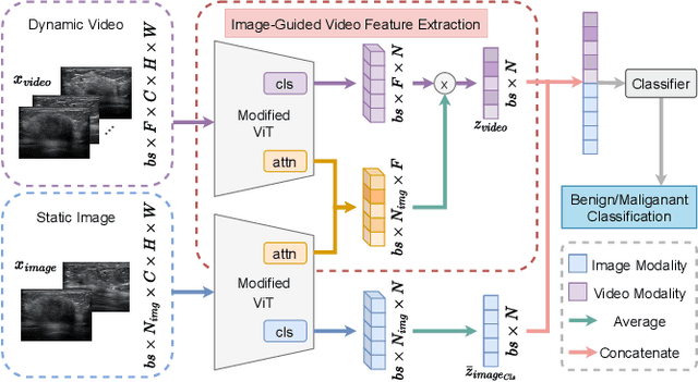 Figure 1 for Breast Lesion Diagnosis Using Static Images and Dynamic Video
