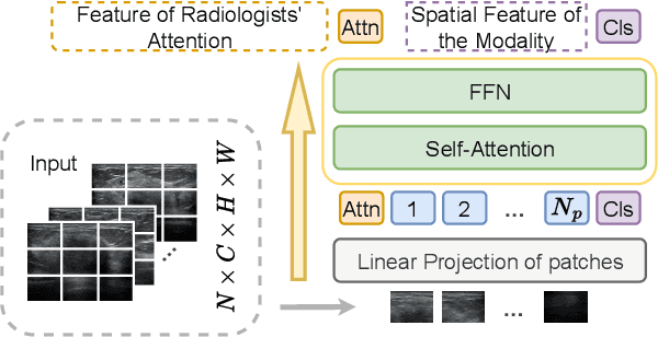 Figure 3 for Breast Lesion Diagnosis Using Static Images and Dynamic Video