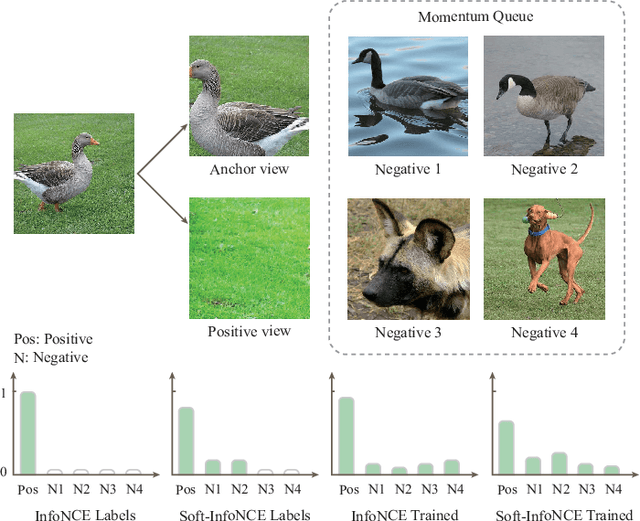 Figure 3 for Establishing a stronger baseline for lightweight contrastive models