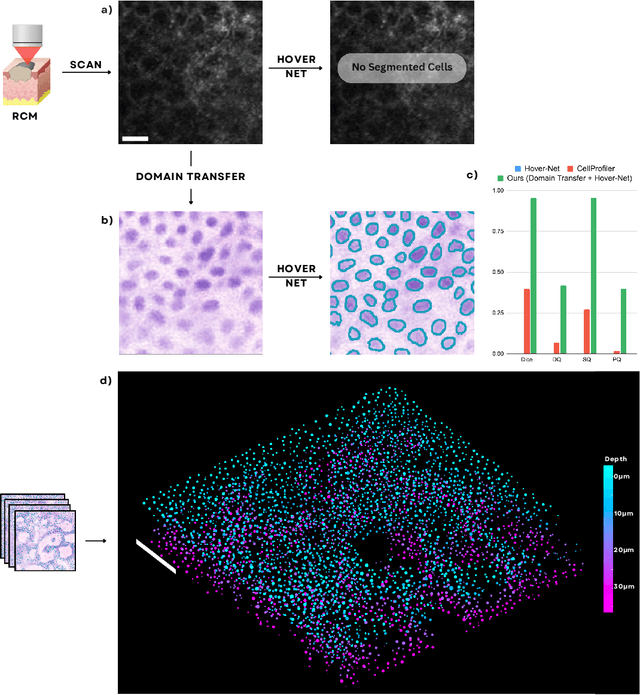 Figure 2 for Leveraging Computational Pathology AI for Noninvasive Optical Imaging Analysis Without Retraining