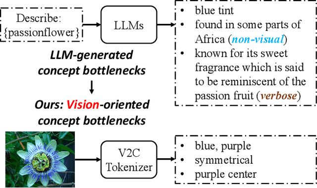 Figure 1 for V2C-CBM: Building Concept Bottlenecks with Vision-to-Concept Tokenizer