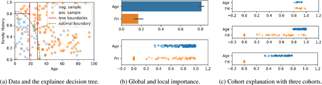 Figure 1 for CohEx: A Generalized Framework for Cohort Explanation