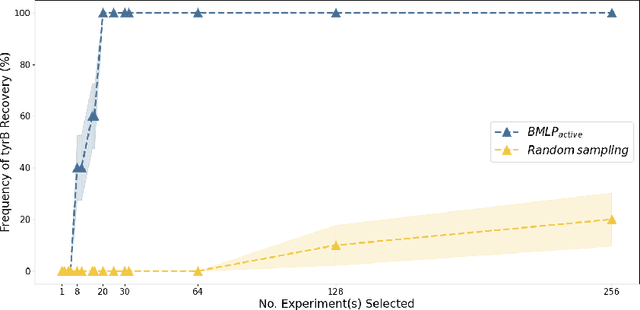 Figure 1 for Active learning of digenic functions with boolean matrix logic programming