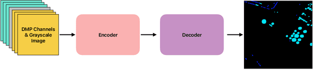 Figure 3 for Differential Morphological Profile Neural Networks for Semantic Segmentation