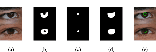 Figure 1 for Direct Estimation of Pupil Parameters Using Deep Learning for Visible Light Pupillometry