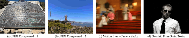 Figure 3 for Re-IQA: Unsupervised Learning for Image Quality Assessment in the Wild