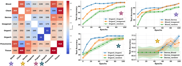 Figure 1 for MedNNS: Supernet-based Medical Task-Adaptive Neural Network Search