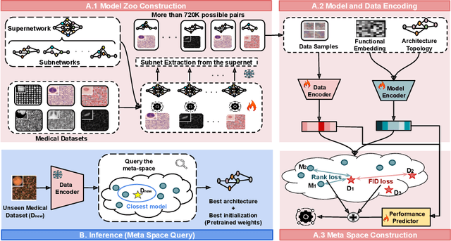 Figure 3 for MedNNS: Supernet-based Medical Task-Adaptive Neural Network Search