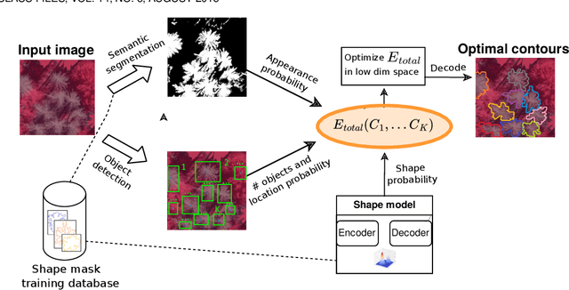 Figure 1 for Segmenting objects with Bayesian fusion of active contour models and convnet priors