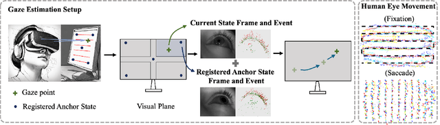 Figure 1 for Denoising Distillation Makes Event-Frame Transformers as Accurate Gaze Trackers