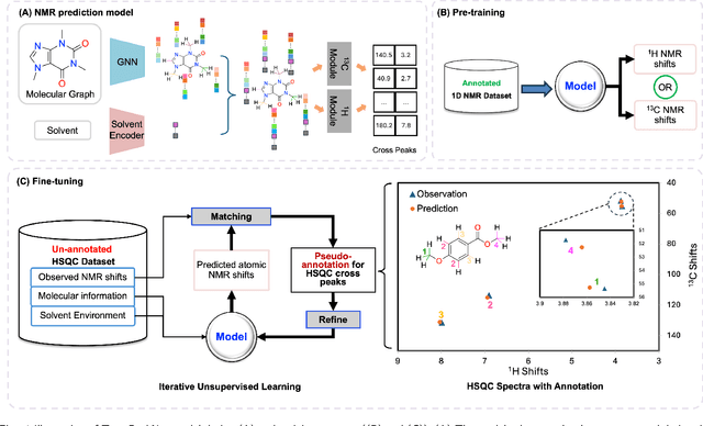 Figure 1 for Solvent-Aware 2D NMR Prediction: Leveraging Multi-Tasking Training and Iterative Self-Training Strategies