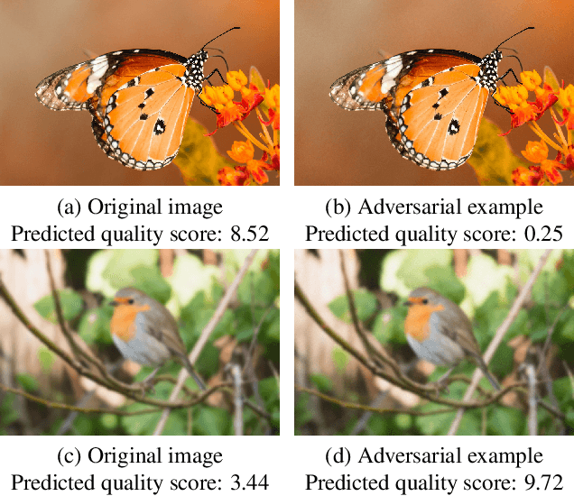Figure 1 for Black-box Adversarial Attacks Against Image Quality Assessment Models