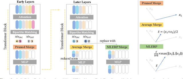 Figure 3 for Token Fusion: Bridging the Gap between Token Pruning and Token Merging