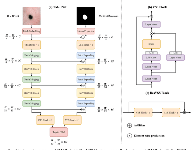 Figure 1 for Rotate to Scan: UNet-like Mamba with Triplet SSM Module for Medical Image Segmentation