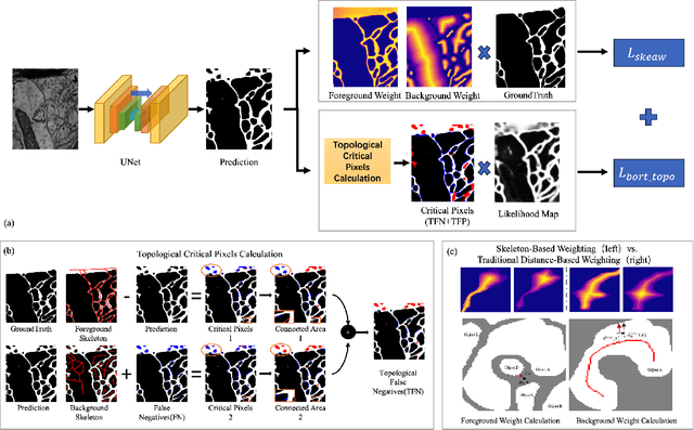 Figure 3 for Enhancing Boundary Segmentation for Topological Accuracy with Skeleton-based Methods