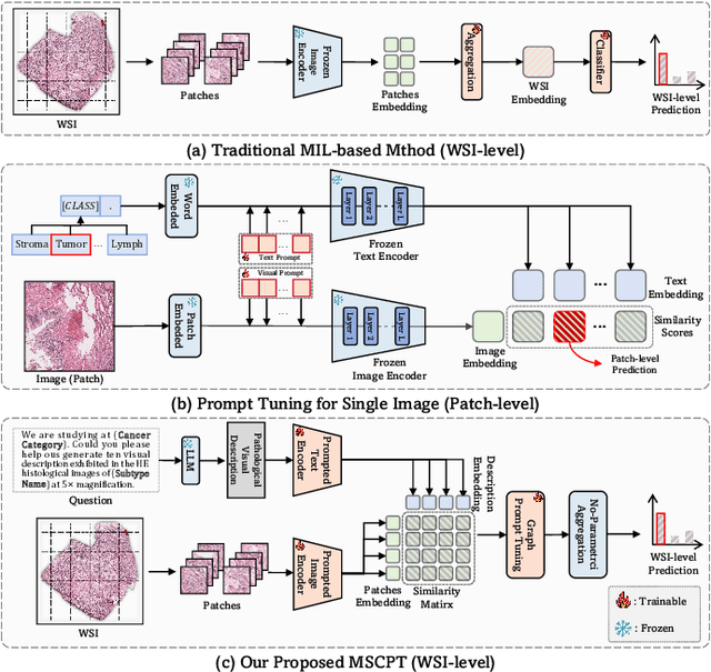 Figure 1 for MSCPT: Few-shot Whole Slide Image Classification with Multi-scale and Context-focused Prompt Tuning