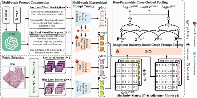 Figure 2 for MSCPT: Few-shot Whole Slide Image Classification with Multi-scale and Context-focused Prompt Tuning