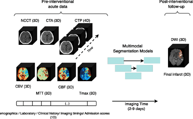 Figure 1 for ISLES'24: Improving final infarct prediction in ischemic stroke using multimodal imaging and clinical data