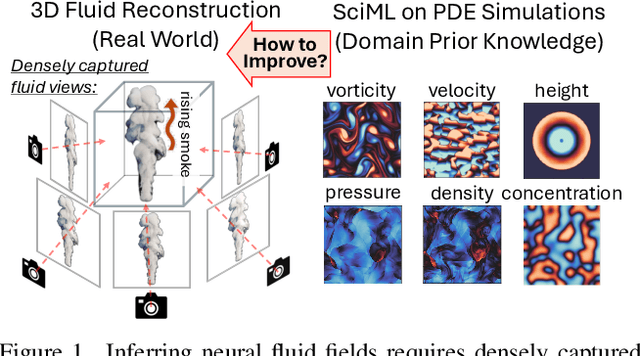 Figure 1 for Data-Efficient Inference of Neural Fluid Fields via SciML Foundation Model