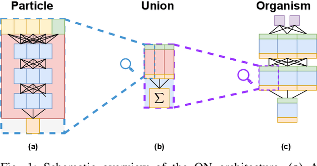 Figure 1 for Constructing Organism Networks from Collaborative Self-Replicators