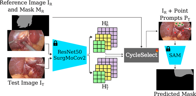 Figure 1 for CycleSAM: One-Shot Surgical Scene Segmentation using Cycle-Consistent Feature Matching to Prompt SAM