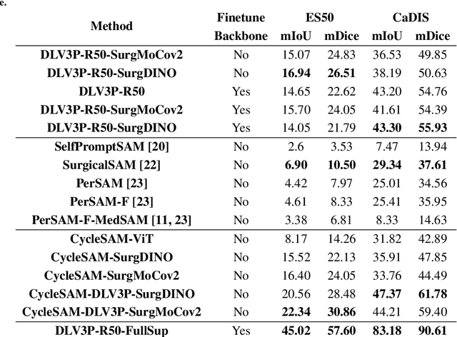 Figure 2 for CycleSAM: One-Shot Surgical Scene Segmentation using Cycle-Consistent Feature Matching to Prompt SAM