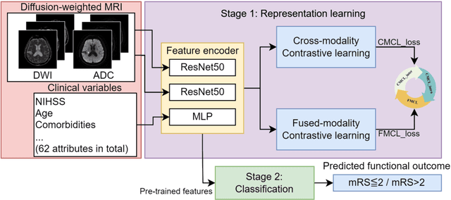 Figure 3 for Fusion of Diffusion Weighted MRI and Clinical Data for Predicting Functional Outcome after Acute Ischemic Stroke with Deep Contrastive Learning