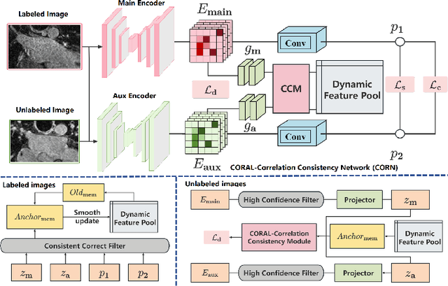 Figure 2 for Leveraging CORAL-Correlation Consistency Network for Semi-Supervised Left Atrium MRI Segmentation