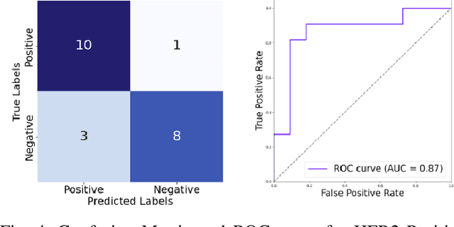 Figure 4 for HER2 and FISH Status Prediction in Breast Biopsy H&E-Stained Images Using Deep Learning