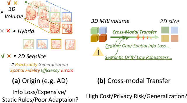 Figure 3 for DCL-SE: Dynamic Curriculum Learning for Spatiotemporal Encoding of Brain Imaging