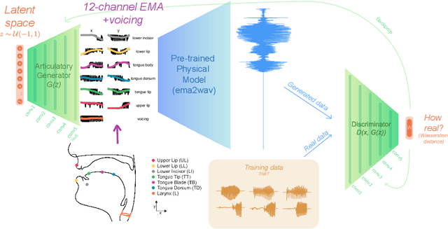 Figure 1 for Articulation GAN: Unsupervised modeling of articulatory learning