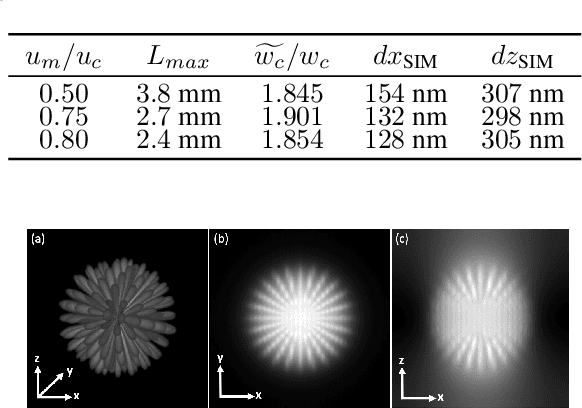 Figure 1 for Impact of regularization on achieved resolution in 3D tunable structured illumination microscopy (TSIM)