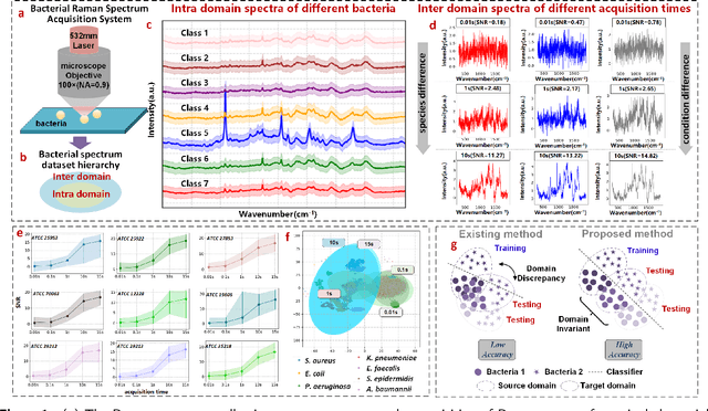 Figure 1 for Adversarial Contrastive Domain-Generative Learning for Bacteria Raman Spectrum Joint Denoising and Cross-Domain Identification