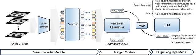 Figure 1 for Read Like a Radiologist: Efficient Vision-Language Model for 3D Medical Imaging Interpretation