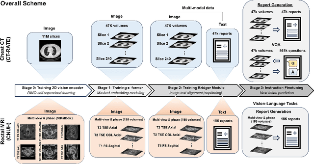 Figure 3 for Read Like a Radiologist: Efficient Vision-Language Model for 3D Medical Imaging Interpretation