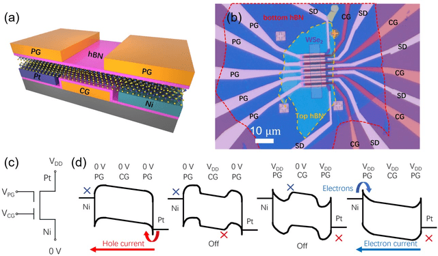 Figure 1 for Cascaded Logic Gates Based on High-Performance Ambipolar Dual-Gate WSe2 Thin Film Transistors