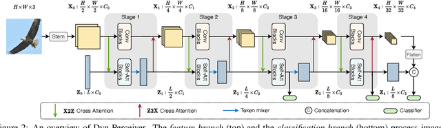 Figure 3 for Dynamic Perceiver for Efficient Visual Recognition