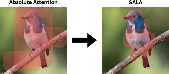 Figure 3 for GFT: Gradient Focal Transformer
