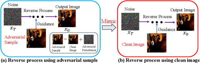 Figure 1 for MimicDiffusion: Purifying Adversarial Perturbation via Mimicking Clean Diffusion Model