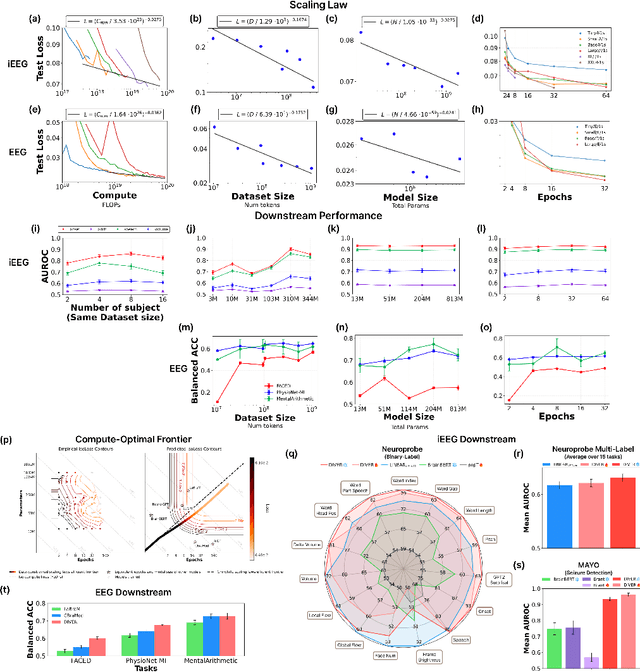 Figure 3 for DIVER-1 : Deep Integration of Vast Electrophysiological Recordings at Scale