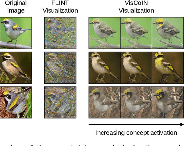 Figure 1 for Restyling Unsupervised Concept Based Interpretable Networks with Generative Models