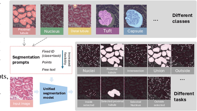 Figure 2 for PFPs: Prompt-guided Flexible Pathological Segmentation for Diverse Potential Outcomes Using Large Vision and Language Models