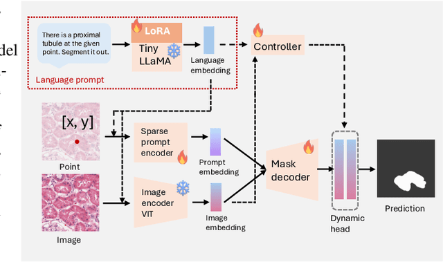 Figure 3 for PFPs: Prompt-guided Flexible Pathological Segmentation for Diverse Potential Outcomes Using Large Vision and Language Models