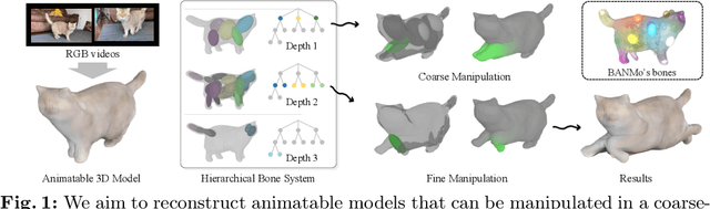 Figure 1 for Hierarchically Structured Neural Bones for Reconstructing Animatable Objects from Casual Videos