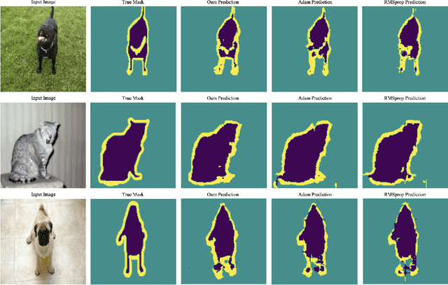 Figure 2 for StochGradAdam: Accelerating Neural Networks Training with Stochastic Gradient Sampling